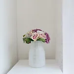 Magnolia شقة *