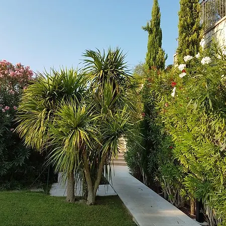 Magnolia Torri Del Benaco