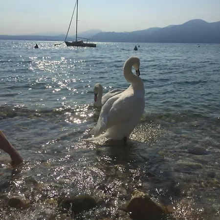 Appartamento Magnolia Torri Del Benaco