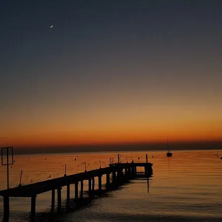 Magnolia トッリ・デル・ベーナコ