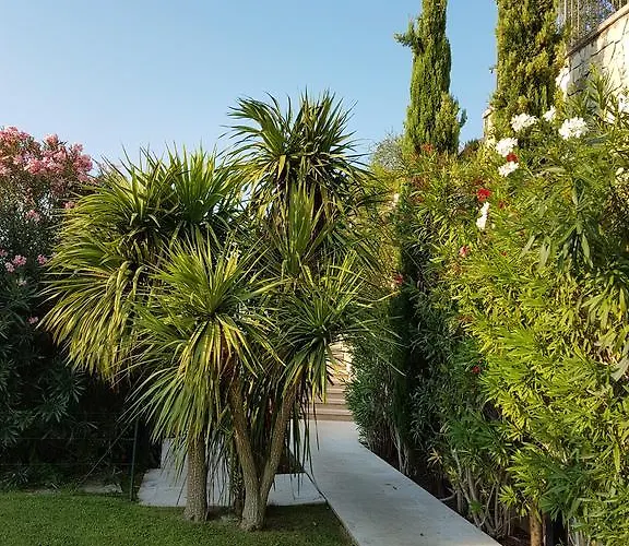 Magnolia Торри-дель-Бенако