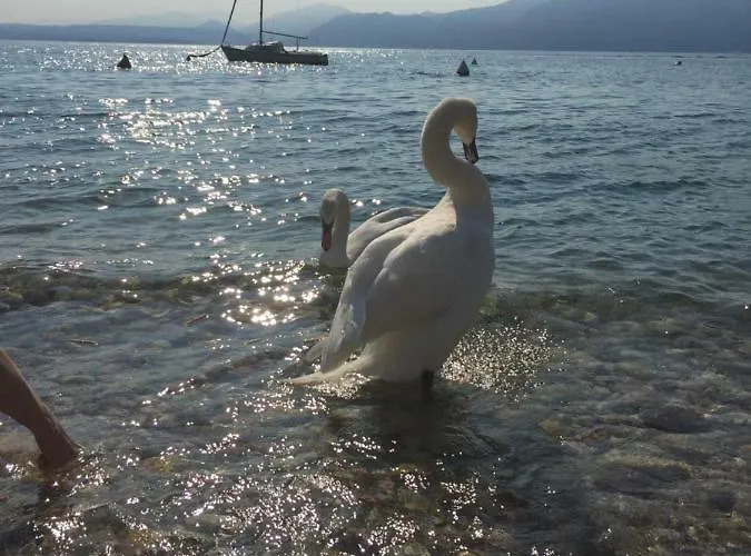 Апартаменты Magnolia Торри-дель-Бенако